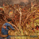 Image for article titled A Noble Stranger Stayed By My Side While I Died In Fallout 76